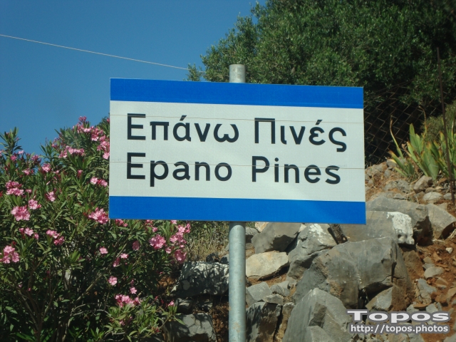 Pano Pines